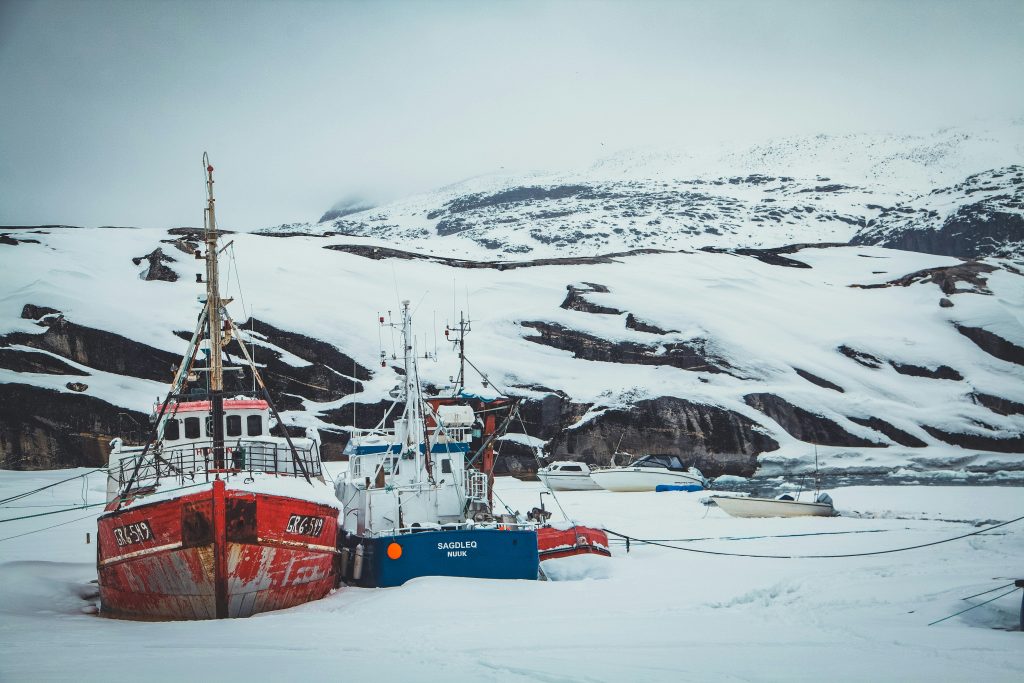 Antarctic : The deregulation of Krill fishing - The Schuman Network